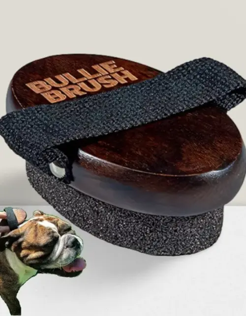 BullieBrush - The Ultimate Grooming Tool for Bulldogs and Pitbulls - Bully Brush is the Shed Brush for Dogs with Short Hair.