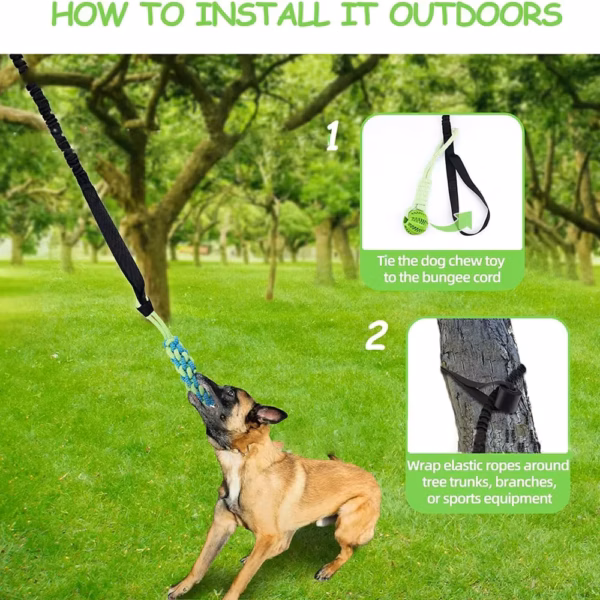 Interactive Dog Toy Tug of War Spring Rope Dogs Outdoor and Indoor Hanging Pull Rope Ball Puppy Molar Teeth Cleaning Chew Toys - Image 2