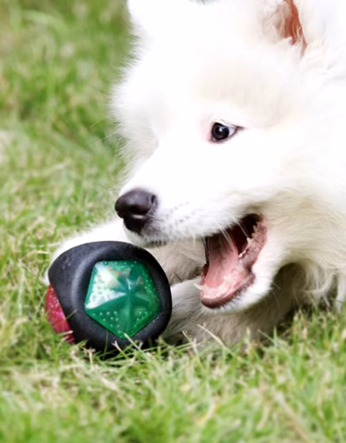 LED Dog Ball Interactive Toy Lights Up Pet Ball For Aggressive Chewers Play Pet Ball Toy Pet Supplies Kitten Cat Exercise Toy