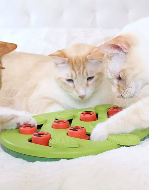 Rainy Day Puzzle & Play - Interactive Cat Treat Puzzle Cat Toys Leaks Food Cat Scratch Board