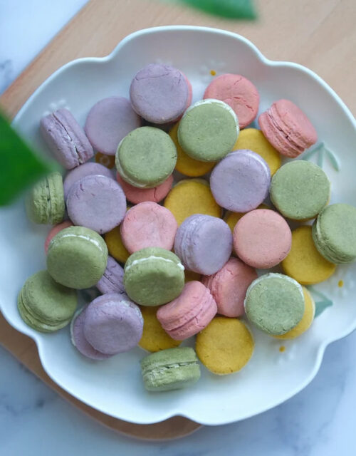 Mini Macaron Dog Treats Cat Treats, Made with real chicken healthy pet treats (12pcs mixed color)