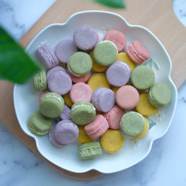 Mini Macaron Dog Treats Cat Treats, Made with real chicken healthy pet treats (12pcs mixed color)