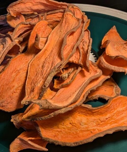 Sweet Potato Jerky for Dogs