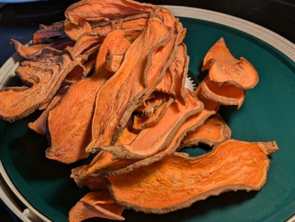 Sweet Potato Jerky for Dogs