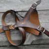 Accessories for Pets: Harness for dog. Dachshund